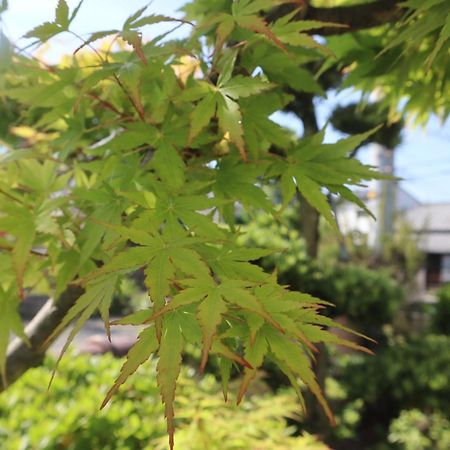 松山市 立花荘ヴィラ エクステリア 写真
