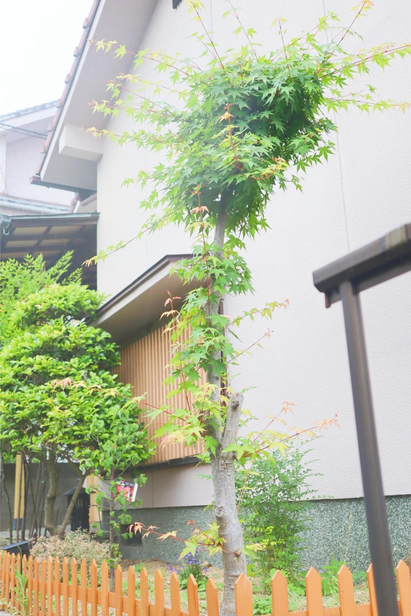 松山市 立花荘ヴィラ エクステリア 写真